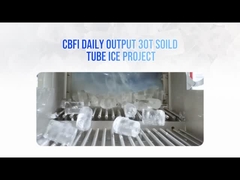 Eropa 30 Ton Solid Flat Cut Ends Tube Ice Machine Case