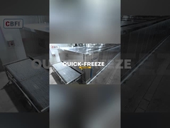 Kasus gudang pembekuan cepat 2 ton/jam