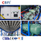 25 Ton Mesin Es Balok Otomatis Industri Pendinginan Langsung Pengepakan dan Penyimpanan Es Otomatis